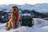 files/CaseyDay-2744.jpg