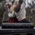 files/SEB28LifeStyleImagesJPG.jpg